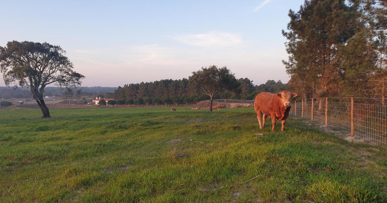 Vila Monte Da Xara Aljezur Exteriér fotografie