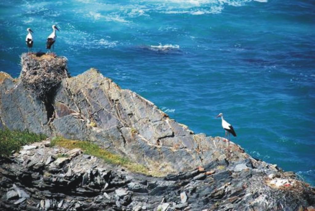 Vila Monte Da Xara Aljezur Exteriér fotografie